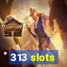 313 slots